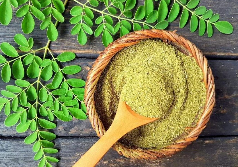 Learn About an Indian Super Food – Moringa