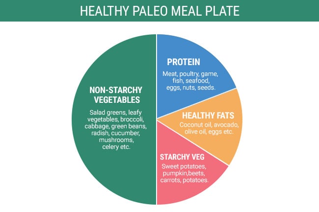 Paleo Diet Beginner S Guide Fit And Healthy Recipes