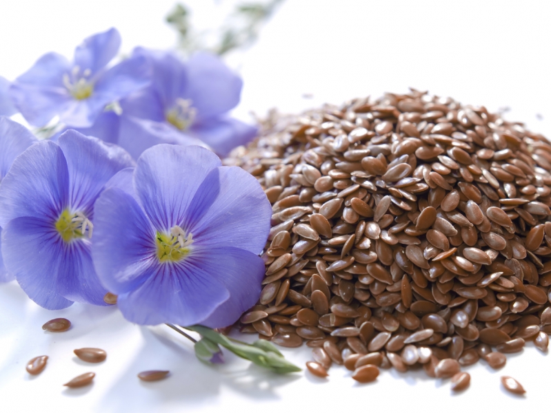 Linseed – Best Omega 3 Source