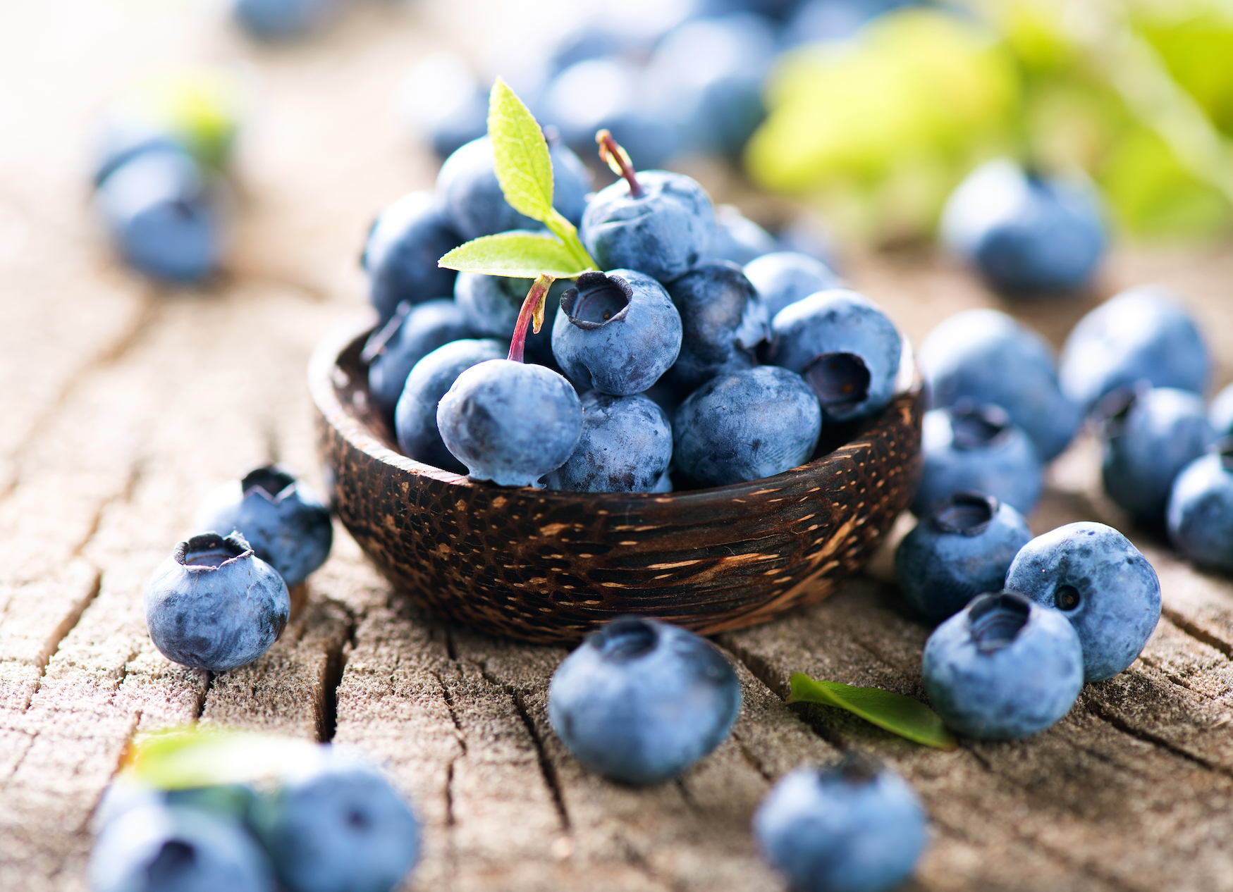 5 Reasons Why Blueberries Are so Healthy